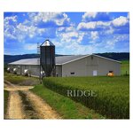 Egg Chicken Breeder Barns Factory - OEM/ODM House and Professional Layer Houses Construction