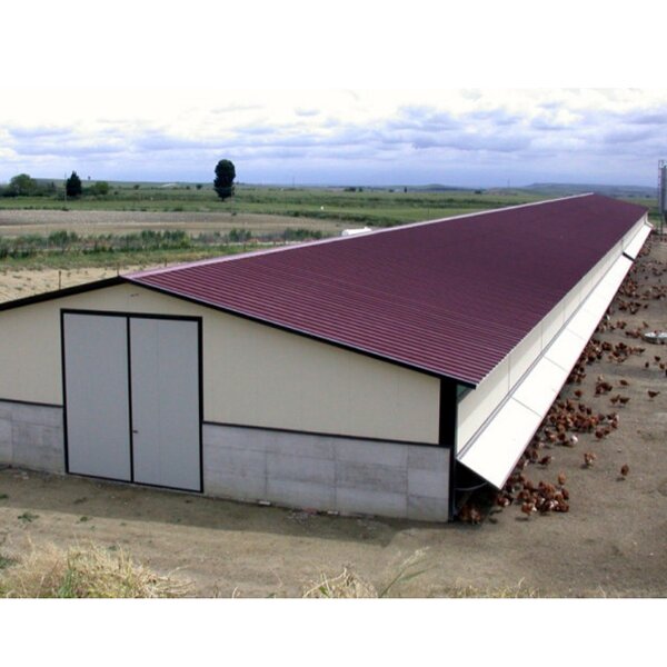 Prefabricated Building Factory - OEM/ODM Low Cost High Quality Steel Structure Chicken Shed Poultry