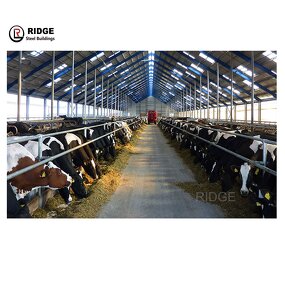 Easy Installation Dairy Farm Building Factory - OEM/ODM Light Steel Structure Milk Cow Shed