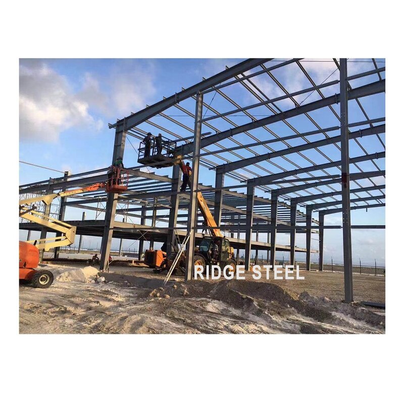 Light Steel Profile Factory - OEM/ODM Industry Golden Supplier Prefab Houses Ready