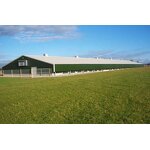 High Strength Steel Framing Factory - OEM/ODM Modern Chicken House 30000 Import Export Building