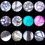 Mini Optical Microscope Supplier - 2020 Laboratory Set Camera Phone 60x