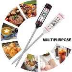 Kitchen Thermometer Supplier - New Style TP101 Cooking Food Probe Meat