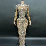 Factories for Sale Manufacturer - OEM/ODM NOVANC Sexy See Through Dazzling Laser Diamonds Long