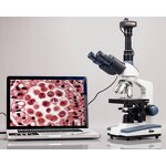 Electron Microscope Manufacturer - OEM/ODM IKEME Lab Optical Instruments Microscopio Binocular Digital