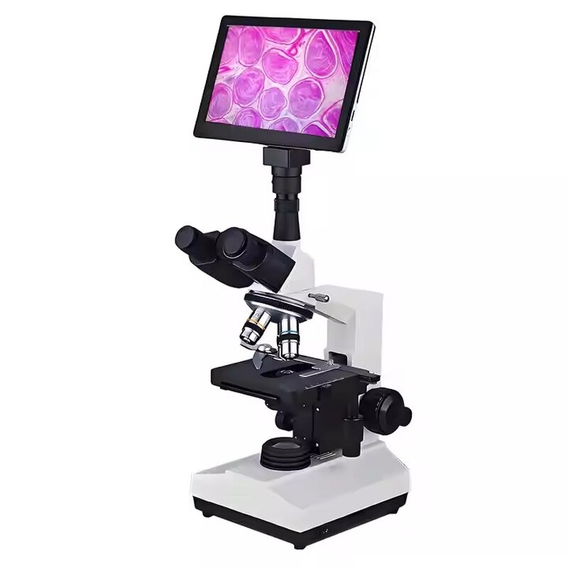 Biological Microscope Manufacturer - OEM/ODM IKEME Laboratory Digital Optical System Mobile Phone