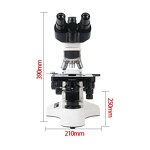 Binocular Microscope Factory - OEM/ODM IKEME 1000-1600x Biological Electron Microbiology with LCD