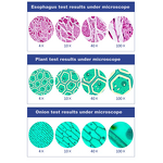 LED Microscope Factory - OEM/ODM IKEME Lab XSP-2CA Electronic Biological 2 Head Binocular