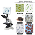 Binocular Microscope Factory - OEM/ODM IKEME 1000-1600x Biological Electron Microbiology with LCD