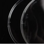 Sterile Petri Dish Factory - OEM/ODM IKEME 60-180mm Ps Plastic Glass Plates Disposable