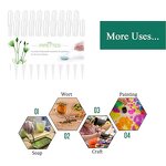 Graduated Pipette Manufacturer - OEM/ODM IKEME Lab 1-5ml Plastic Pipetting Transfer Dropper Pasteur