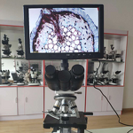 Lab Binocular Microscope Manufacturer - OEM/ODM IKEME Portable Medical Digital Biological Microscopio