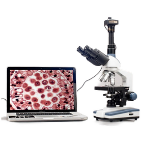 Lab Binocular Microscope Manufacturer - OEM/ODM IKEME Portable Medical Digital Biological Microscopio