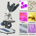 Biological Microscope Manufacturer - OEM/ODM IKEME Laboratory Digital Optical System Mobile Phone