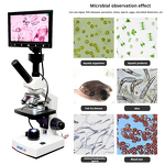 Digital Microscope Factory - OEM/ODM IKEME Laboratory Electron Microscope Camera Screen Microscopio