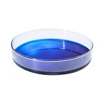 Glass Petri Dish Manufacturer - OEM/ODM 60-180mm for Laboratory and Research