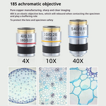 Digital Microscope Factory - OEM/ODM IKEME Laboratory Electron Microscope Camera Screen Microscopio