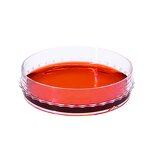 Glass Petri Dish Manufacturer - OEM/ODM 60-180mm for Laboratory and Research