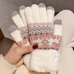 Touch Screen Gloves Factory - OEM/ODM Knitted Women Autumn Winter Warm Outdoor Plus Thickened