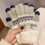 Touch Screen Gloves Factory - OEM/ODM Knitted Women Autumn Winter Warm Outdoor Plus Thickened