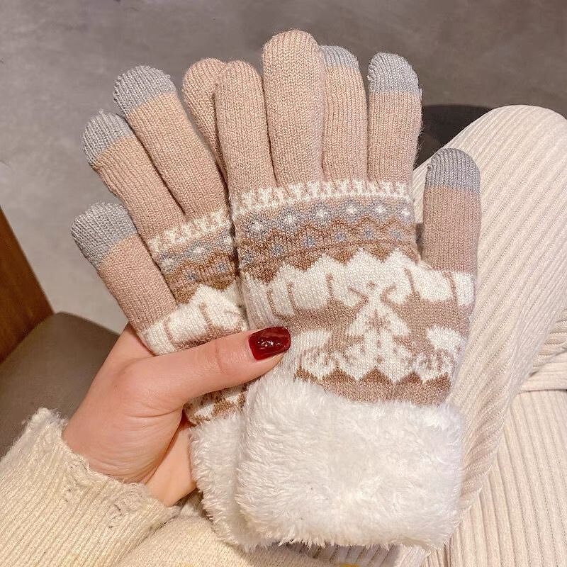 Touch Screen Gloves Factory - OEM/ODM Knitted Women Autumn Winter Warm Outdoor Plus Thickened
