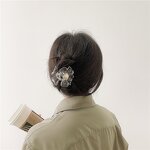 Flower Clip Factory - OEM/ODM Girls' Acrylic Simple Shark Fashion Top Clip New Style