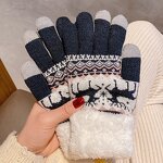 Touch Screen Gloves Factory - OEM/ODM Knitted Women Autumn Winter Warm Outdoor Plus Thickened