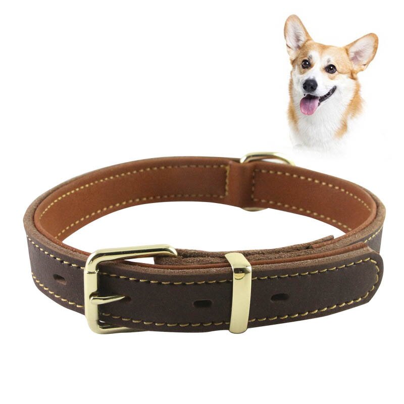 Leather Pet Collar Manufacturer - Custom Luxury Personalized Handmade Cowhide