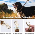 Leather Pet Harness Supplier - Genuine Real Leather Walk the Dog Hunting Golden