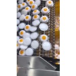 鸡蛋果冻工厂-批发清真零食爆爆珠抖音形状