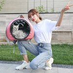 Pet Backpack Factory - OEM Space Capsule Outdoor Travel Carrier