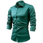 Dress Shirt Supplier - OEM/ODM Anti-Wrinkle Slim Fit Business Blouse