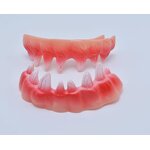 Vampire Fangs Factory - OEM Ugly Joke Funny Gag Teeth Prom Props