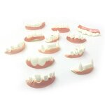 Vampire Teeth Factory - OEM Party Dentures Zombie Buck Teeth Prank Trick