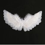 Angel Wings Factory - OEM Feather Swallowtail Newborn Photography Props