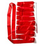 Ribbon Streamer Factory - OEM 6.5 FT Long Rhythm Wand Twirling Sticks