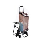 Folding Trolley Manufacturer - OEM/ODM Supermarket Lightweight Portable Travel Cart Bag