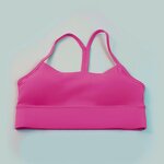 Sports Bra Manufacturer - OEM/ODM High Quality Quick-Dry Push-Up Y-Back Plus Size