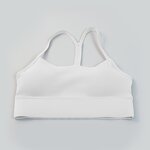 Sports Bra Manufacturer - OEM/ODM High Quality Quick-Dry Push-Up Y-Back Plus Size