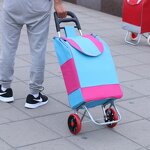 Shopping Cart Manufacturer - Factory Custom Direct Sales Trolley Bag with Wheels