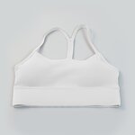 Yoga Bra Supplier - OEM/ODM Custom Sports Quick-Dry Push-Up Y-Back Plus Size