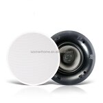 In-Wall Amplifier Manufacturer - OEM/ODM 5.25 Inch OLED BLE Wireless Music Amplifier