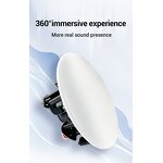 Wireless Ceiling Speaker Manufacturer - OEM/ODM High Quality 5.25 Inch Master OLED BLE