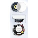 Wireless Ceiling Speaker Supplier - OEM/ODM High Quality 5.25 Inch Master OLED BLE Slave