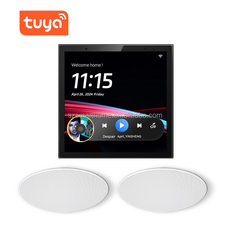 Audio Amplifiers Set Factory - OEM/ODM 4 Inch Touch Screen Display WiFi Switch 225W