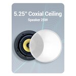 Wireless Ceiling Speaker Manufacturer - OEM/ODM High Quality 5.25 Inch Master OLED BLE