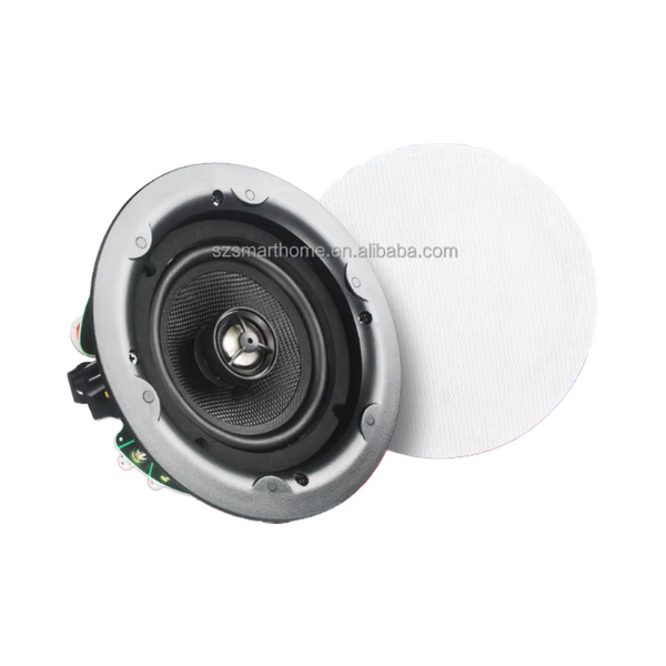 Ceiling Speakers Factory - OEM/ODM 5.25 Inch Passive Hifi Ceiling Speakers New Design
