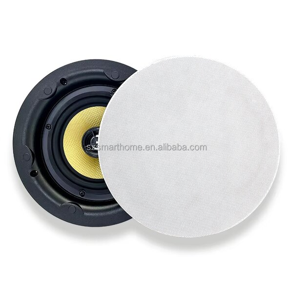 In-Wall Amplifier Manufacturer - OEM/ODM 5.25 Inch OLED BLE Wireless Music Amplifier