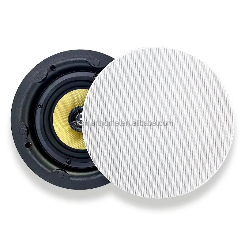 In-Wall Amplifier Manufacturer - OEM/ODM 5.25 Inch OLED BLE Wireless Music Amplifier