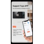 Smart Home Theater Supplier - OEM/ODM 8-Channel 10-Inch Touch Screen Control Panel